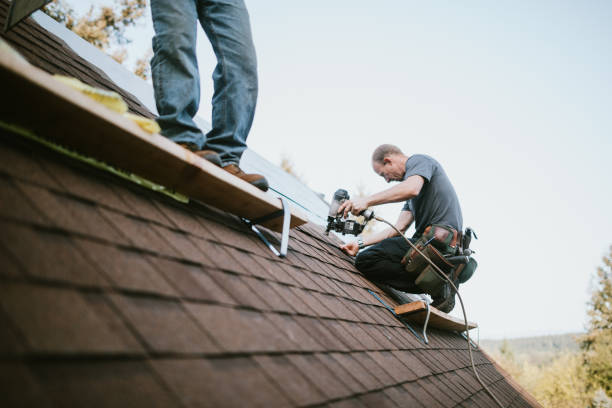Quick and Trustworthy Emergency Roof Repair Services in Norfolk, VA